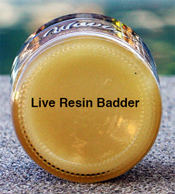 Wavvy Live Resin Badder