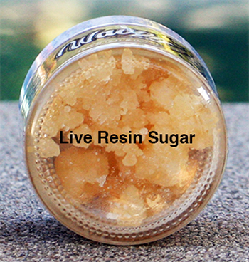 Wavvy Live Resin Sugar